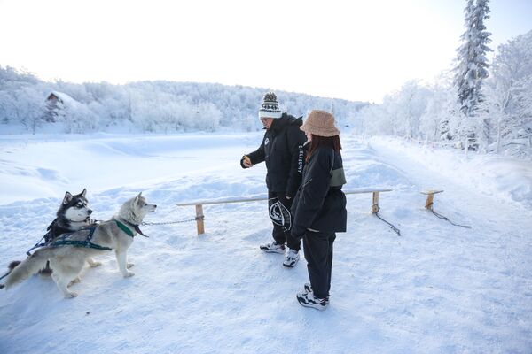 來自中國的遊客為雪橇犬拍照 - 俄羅斯衛星通訊社