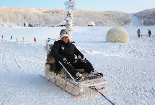 乘坐西伯利亞雪橇犬拉的雪橇 - 俄羅斯衛星通訊社