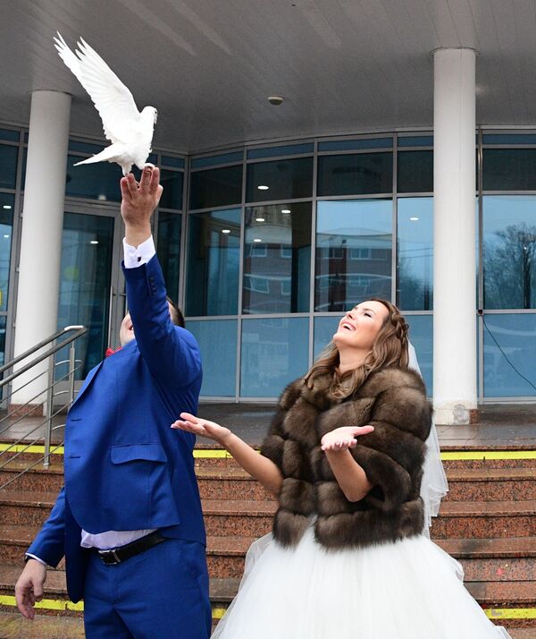 新人在婚禮現場放飛白鴿 - 俄羅斯衛星通訊社