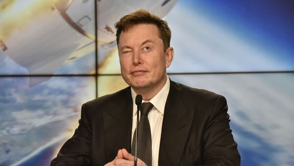 Основатель компании Tesla Илон Маск - 俄羅斯衛星通訊社