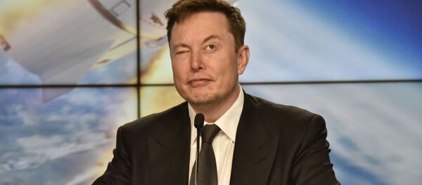 Основатель компании Tesla Илон Маск - 俄罗斯卫星通讯社