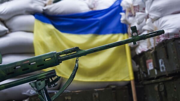 Снайперская винтовка на фоне украинского флага - 俄罗斯卫星通讯社