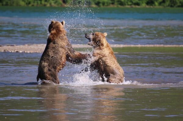 冰與火之歌——在堪察加冰川火山的“冒險之旅” 冰與火之歌——在堪察加冰川火山的“冒險之旅” - 俄羅斯衛星通訊社
