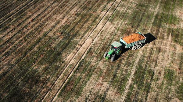 意大利农民艺术家用拖拉机在田间绘制新冠病毒图 - 俄罗斯卫星通讯社