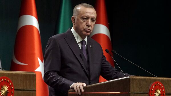Президент Турции Реджеп Эрдоган - 俄罗斯卫星通讯社