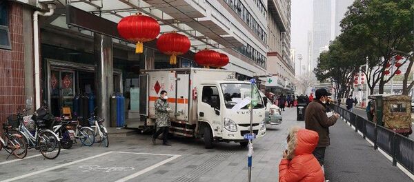 乌克兰女孩因爱犬滞留武汉 总统泽连斯基承诺将其撤离 - 俄罗斯卫星通讯社