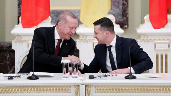 Встреча президентов Турции и Украины - 俄罗斯卫星通讯社