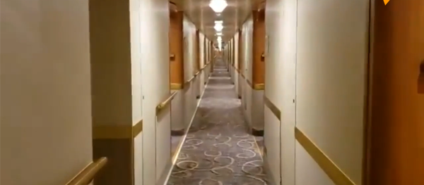 网现“钻石公主”号邮轮视频 网现“钻石公主”号邮轮视频 - 俄罗斯卫星通讯社