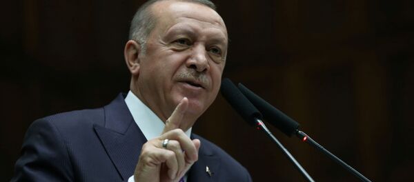 Президент Турции Реджеп Тайип Эрдоган во время встречи в Анкаре, Турция - 俄罗斯卫星通讯社