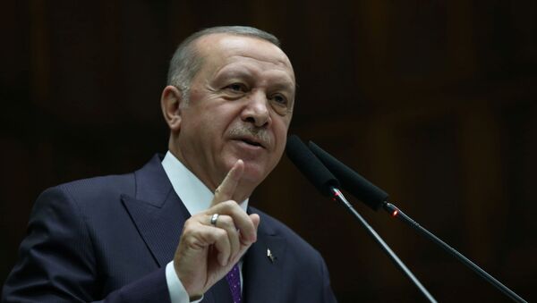 Президент Турции Реджеп Тайип Эрдоган во время встречи в Анкаре, Турция - 俄罗斯卫星通讯社