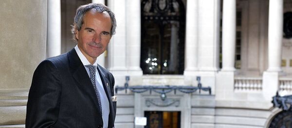 Рафаэль Гросси - 俄罗斯卫星通讯社