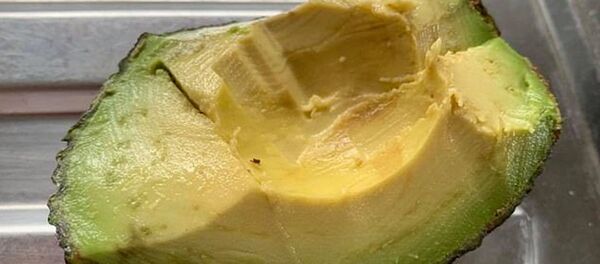Авокадо, которое пролежало неделю и сохранило свежесть - 俄羅斯衛星通訊社