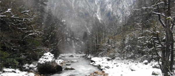 На Рицу за снегом: куда жители Абхазии отправляются в поисках зимы На Рицу за снегом: куда жители Абхазии отправляются в поисках зимы - 俄罗斯卫星通讯社