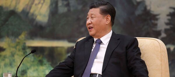 习近平出席G20特别峰会 强调国际社会应坚定信心团结应对新冠疫情 - 俄罗斯卫星通讯社