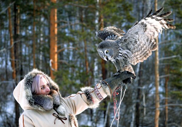 魔法之鳥：貓頭鷹如何生活 - 俄羅斯衛星通訊社
