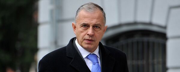 Мирча Дан Джоанэ - 俄罗斯卫星通讯社