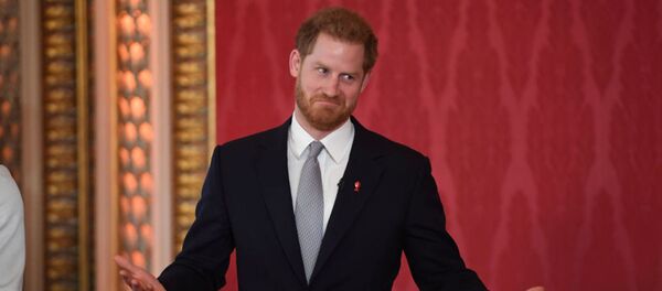 Принц Гарри - 俄罗斯卫星通讯社