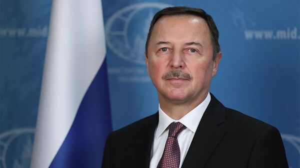 俄駐敘大使：美國在敘利亞東北部的存在阻礙對“伊斯蘭國殘餘的清剿 - 俄羅斯衛星通訊社