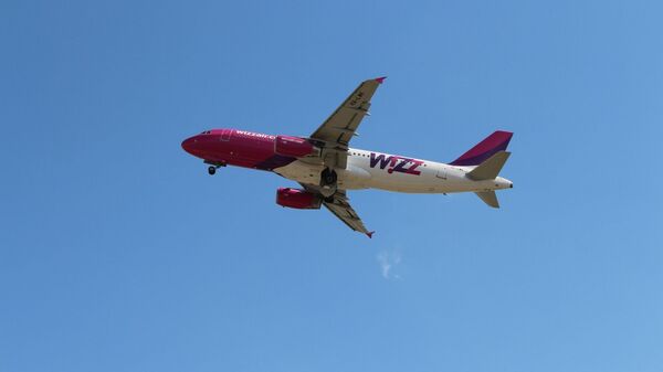 匈牙利Wizz Air航空公司 - 俄羅斯衛星通訊社