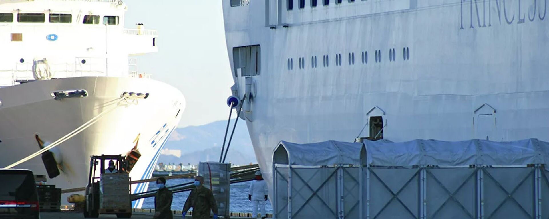 日本恢复接受国际邮轮靠泊 - 俄罗斯卫星通讯社, 1920, 17.11.2022