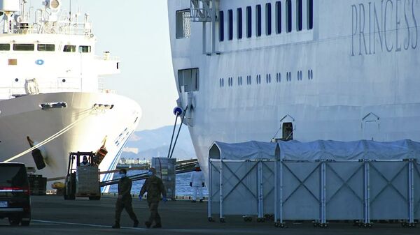 日本恢复接受国际邮轮靠泊 - 俄罗斯卫星通讯社