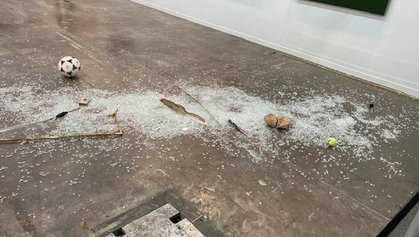 艺术批评家意外打碎一件价值2万美元的艺术品 - 俄罗斯卫星通讯社