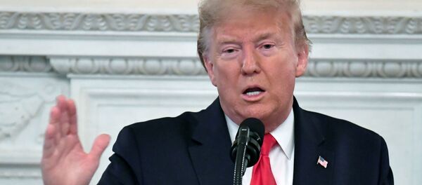 Президент США Дональд Трамп на встрече с губернаторами в Белом доме - 俄罗斯卫星通讯社