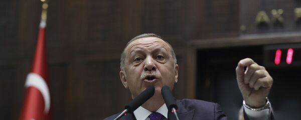 Президент Турции Реджеп Тайип Эрдоган - 俄罗斯卫星通讯社