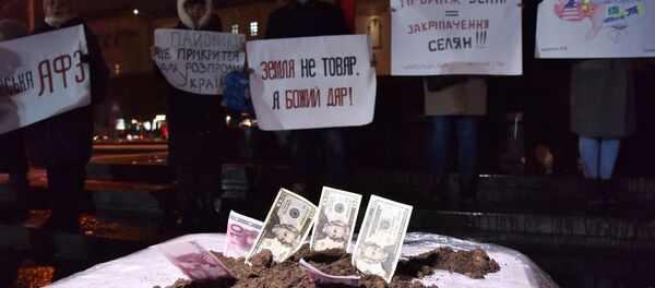 乌克兰经济学家提议卖地防御俄罗斯 乌克兰经济学家提议卖地防御俄罗斯 - 俄罗斯卫星通讯社