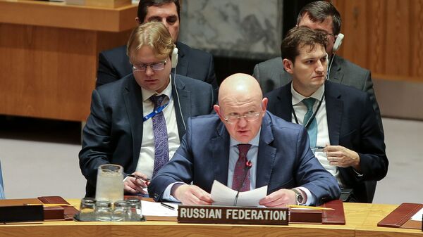俄羅斯常駐聯合國代表瓦西里·涅邊賈 - 俄羅斯衛星通訊社