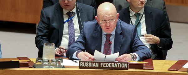 Постоянный представитель РФ при ООН Василий Небензя на заседании Совета безопасности ООН в Нью-Йорке. - 俄羅斯衛星通訊社