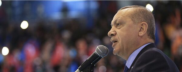 Президент Турции Тайип Эрдоган - 俄罗斯卫星通讯社