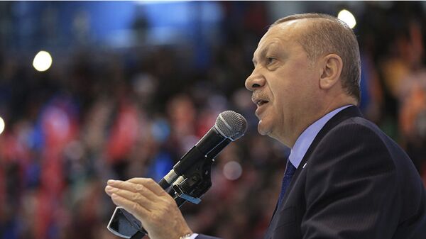 Президент Турции Тайип Эрдоган - 俄罗斯卫星通讯社