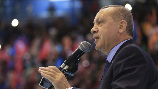 Президент Турции Тайип Эрдоган - 俄罗斯卫星通讯社