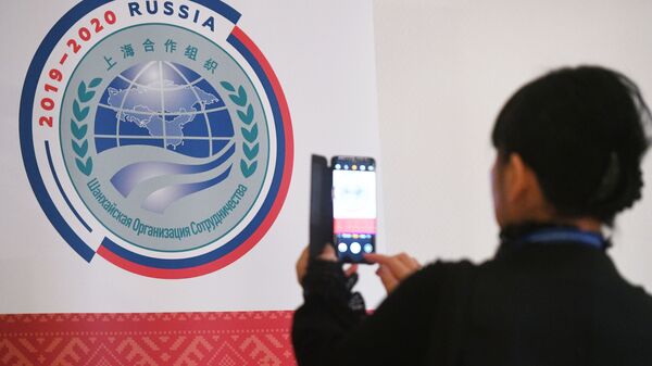 将有约50个国家参加上合组织政党论坛 - 俄罗斯卫星通讯社