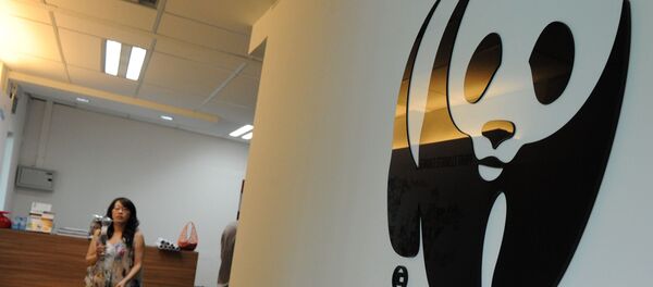 Логотип Всемирного фонда дикой природы в филиале в Сингапуре - 俄罗斯卫星通讯社