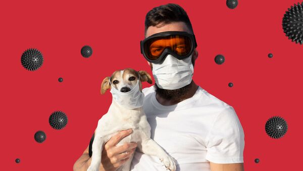 Человек в защитной маске и очках с собакой в медицинской маске - 俄罗斯卫星通讯社