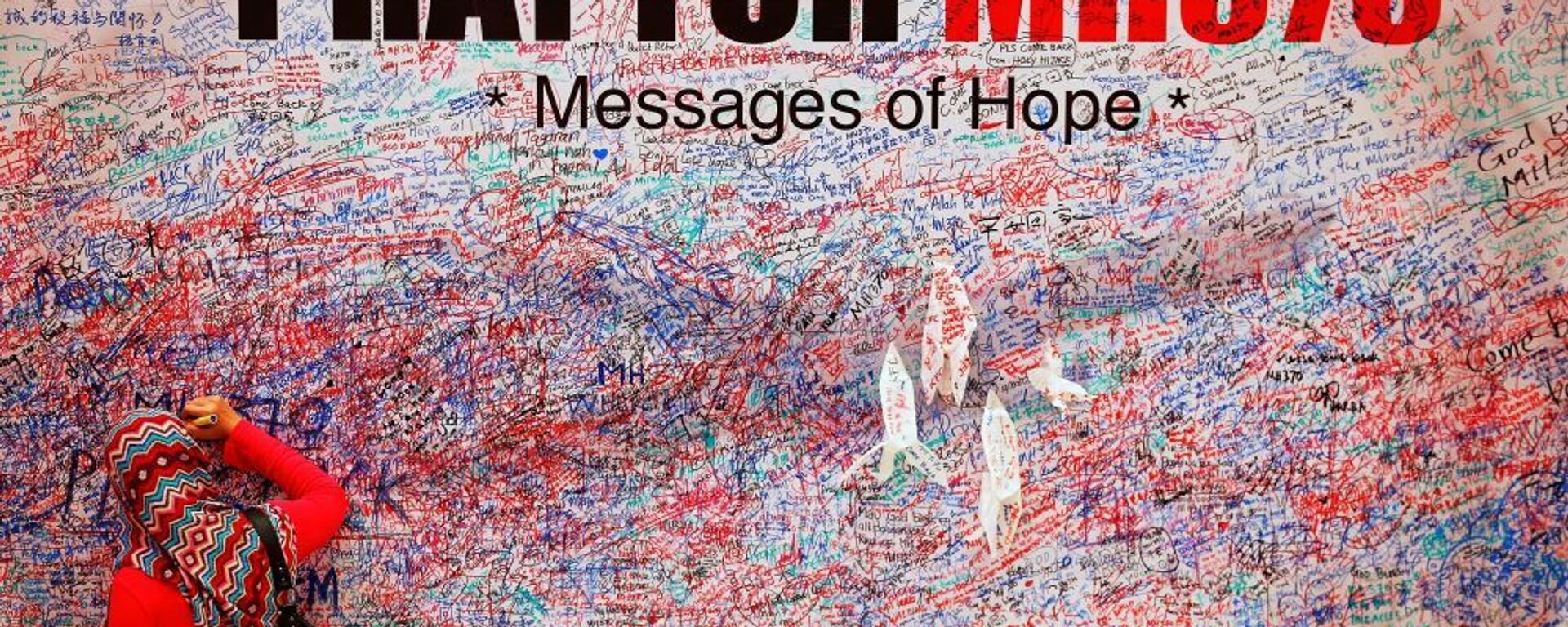 Стена надежды MH370 - 俄羅斯衛星通訊社, 1920, 19.02.2020