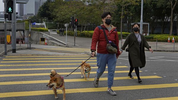 Жители Гонконга с собаками - 俄罗斯卫星通讯社