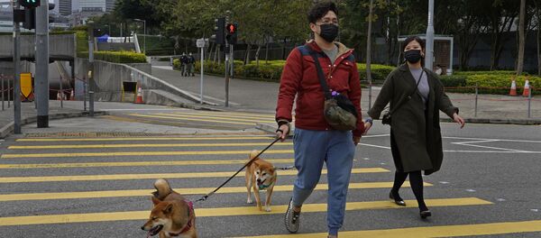 Жители Гонконга с собаками - 俄罗斯卫星通讯社