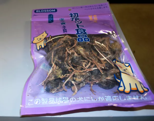 一中國公民試圖用行李運死鳥（照片）