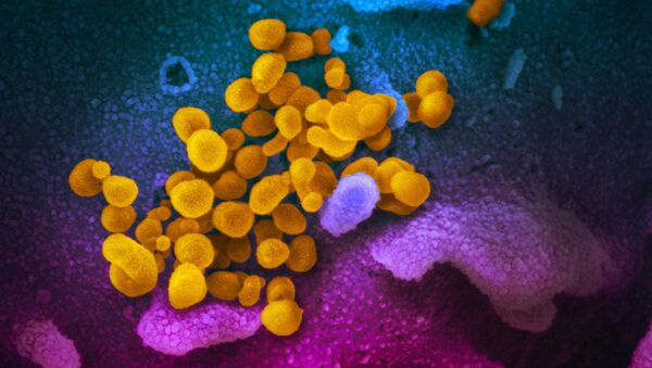 Цветное изображение нового коронавируса SARS-CoV-2  - 俄罗斯卫星通讯社
