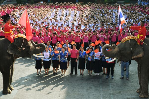 泰国师生和大象列队拼心形声援中国 - 俄罗斯卫星通讯社