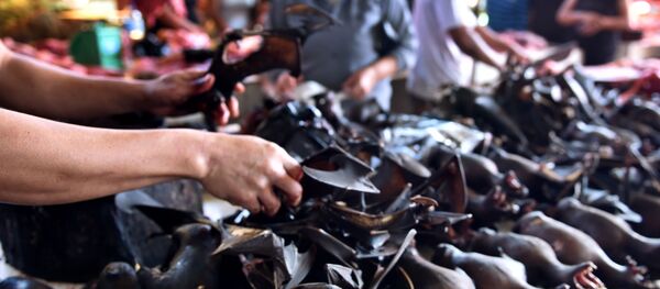  bat meat - 俄羅斯衛星通訊社