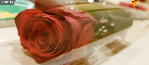 День святого валентина на лайнере Diamond Princess День святого валентина на лайнере Diamond Princess - 俄罗斯卫星通讯社