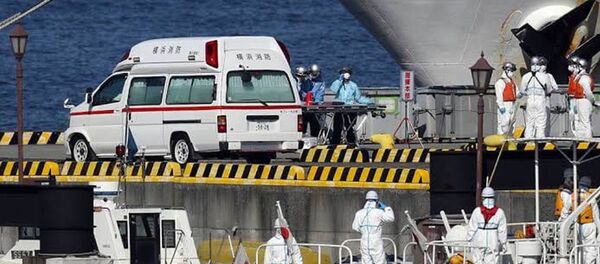 首批從“鑽石公主”號游輪解除隔離的乘客在日本港口下船 - 俄羅斯衛星通訊社