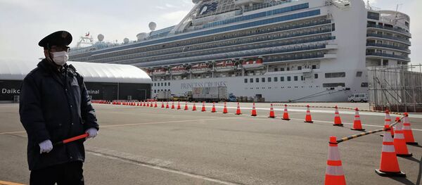 Лайнер Diamond Princess в Японии Лайнер Diamond Princess в Японии - 俄羅斯衛星通訊社