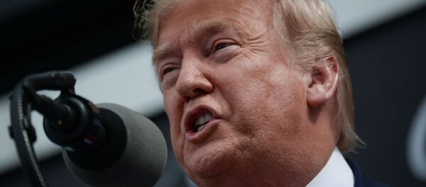 Президент США Дональд Трамп - 俄罗斯卫星通讯社