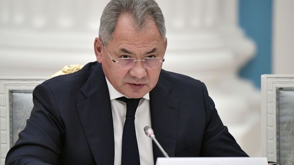 Министр обороны РФ Сергей Шойгу  - 俄罗斯卫星通讯社