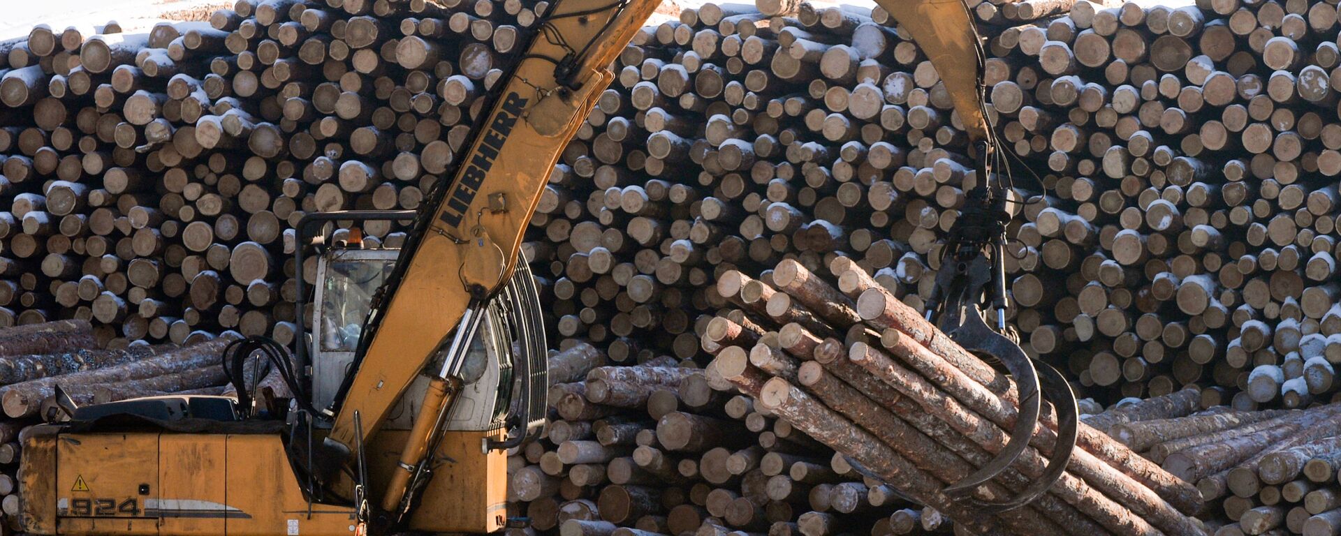 哈巴罗夫斯克边疆区2023年年初以来已对华出口近9000立方米硬木木材 - 俄罗斯卫星通讯社, 1920, 27.01.2023